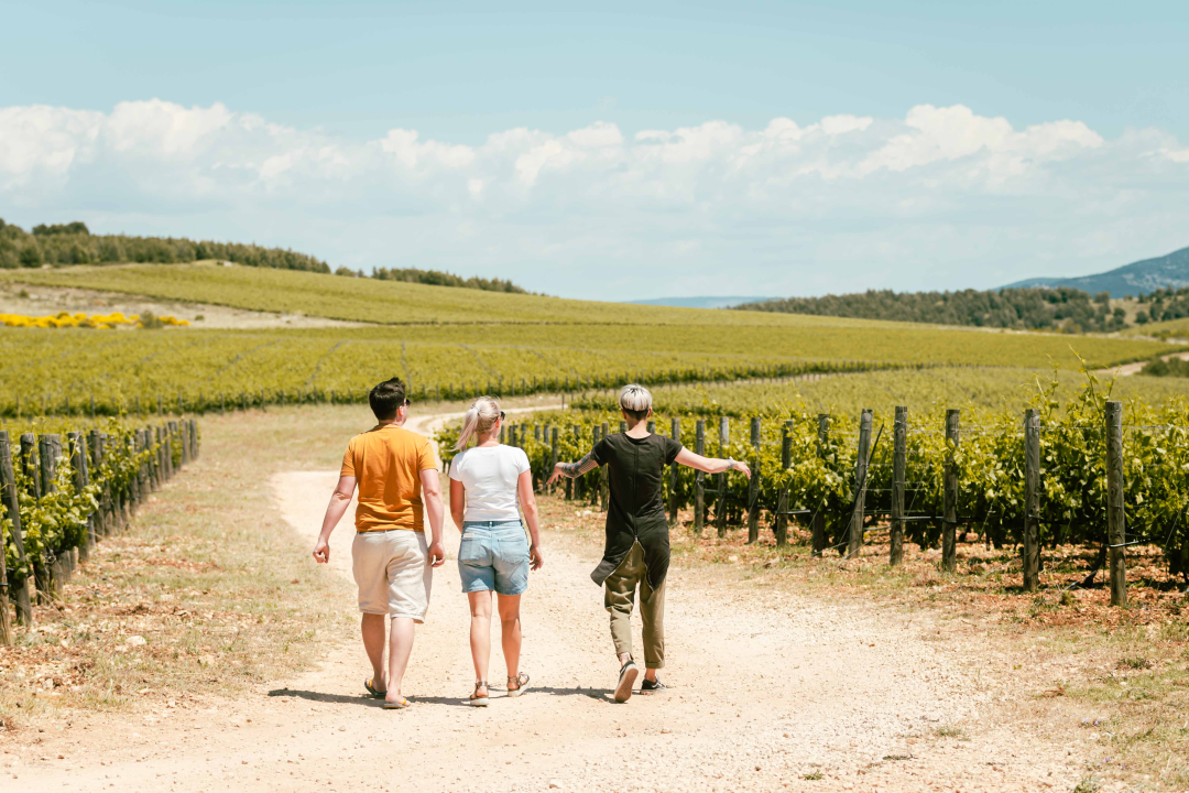 Doživite pravu vinsku priču na ovogodišnjim Danima otvorenih kušaonica!