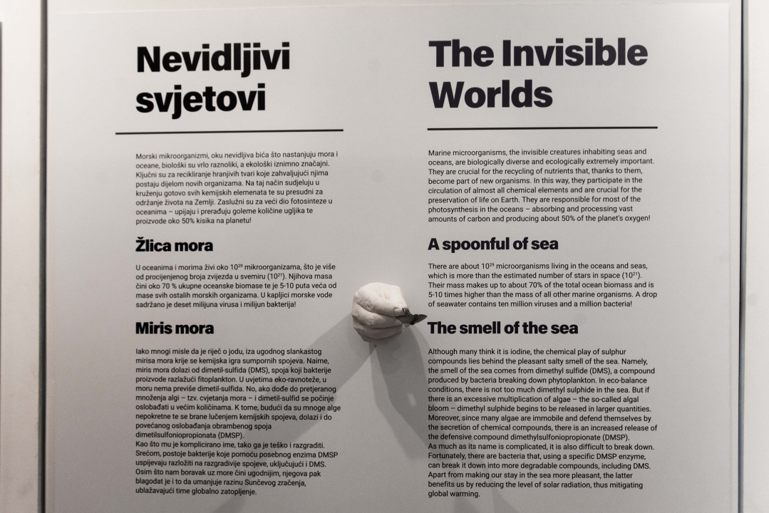 Posjetili smo posjetiteljski centar u Minerskoj: Virtualna stvarnost, povijest kanala sv. Ante, flora, fauna, podmorje… 