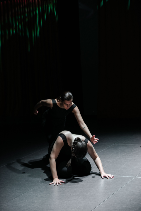 Čuveni Kibbutz Contemporary Dance Company stiže na tvrđavu svetog Mihovila