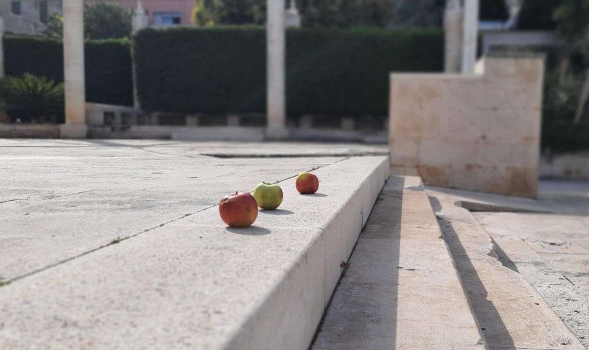Performans pred moliteljima u Šibeniku: 'Uberimo plodove ženske borbe za slobodu'