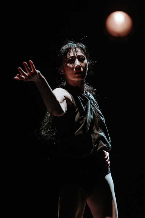 Spektakularan nastup Kibbutza na tvrđavi sv. Mihovila: Kruna kulturnog ljeta u Hrvatskoj