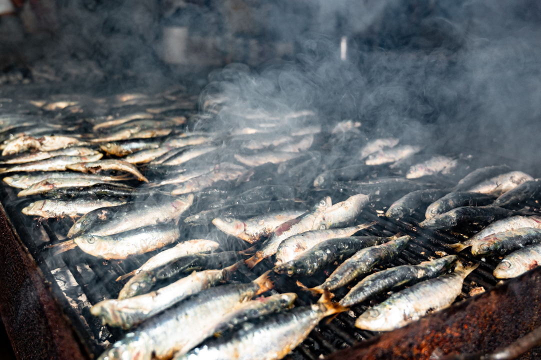 Na Zlarinu održana tradicionalna Srdelada