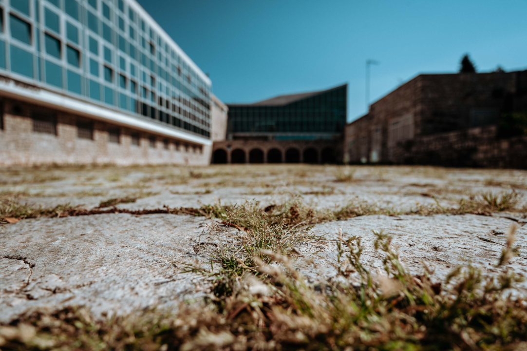 Kosilice Zelenog grada pokreću klikovi: Livada ispred Fausta opet postaje trg