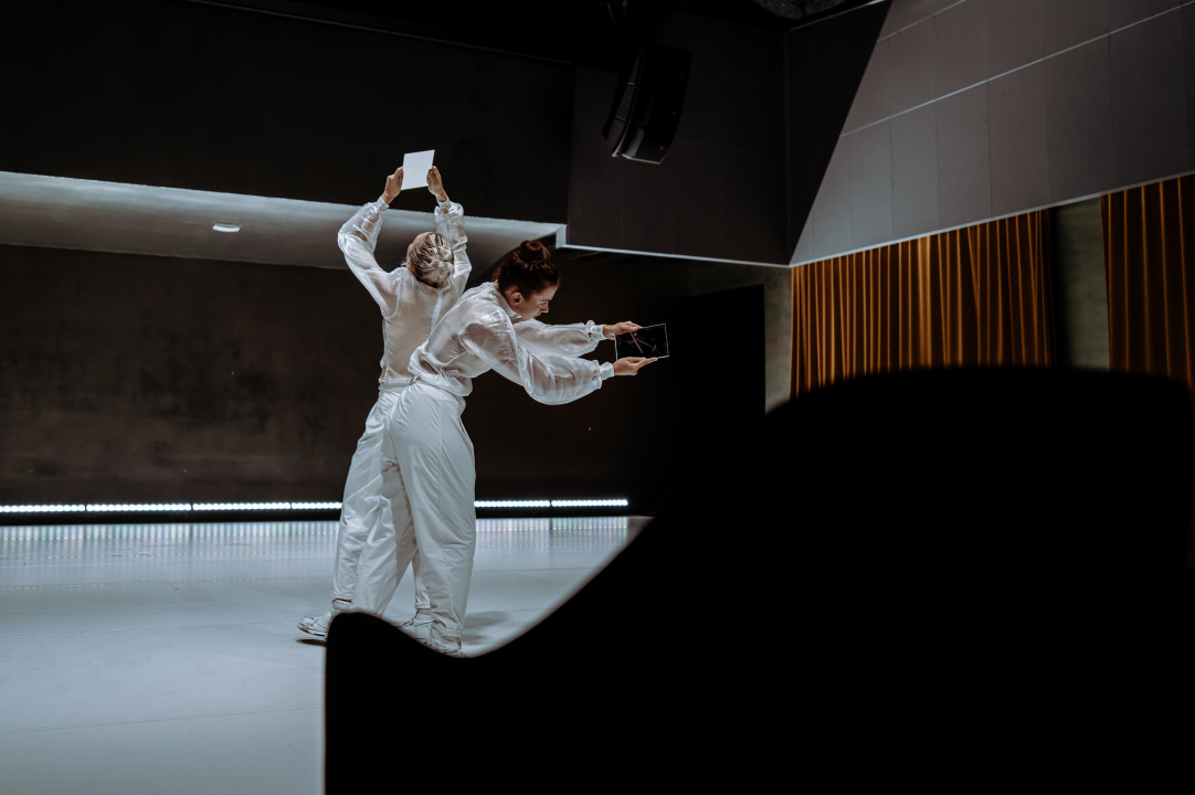 Strahovi malih razlika u Arsenu: Pitanja individualnog i kolektivnog, svjesnih i nesvjesnih obilježja sredine