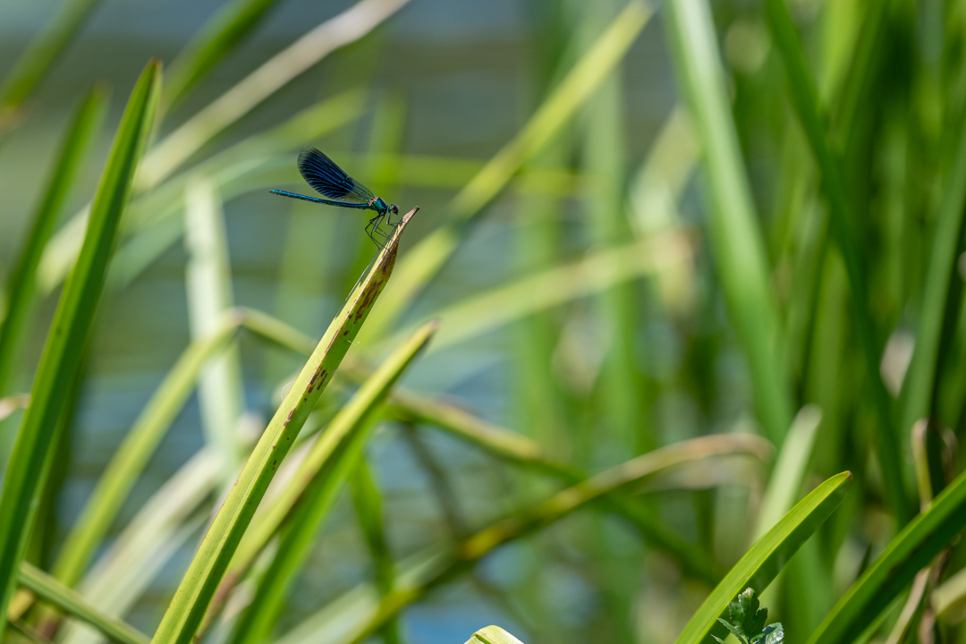 Mihovil je odluku o povratku u Knin donio u nekoliko minuta i danas se tu bavi aktivnim turizmom