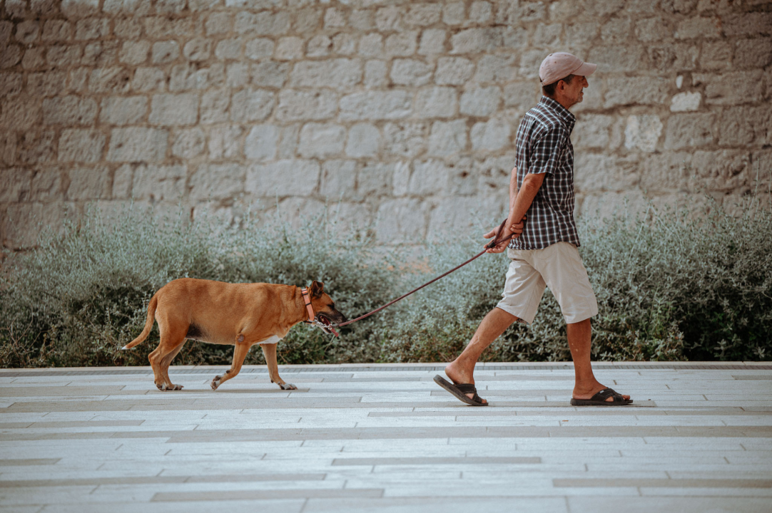FOTO Đir po gradu, utorak 10. listopada