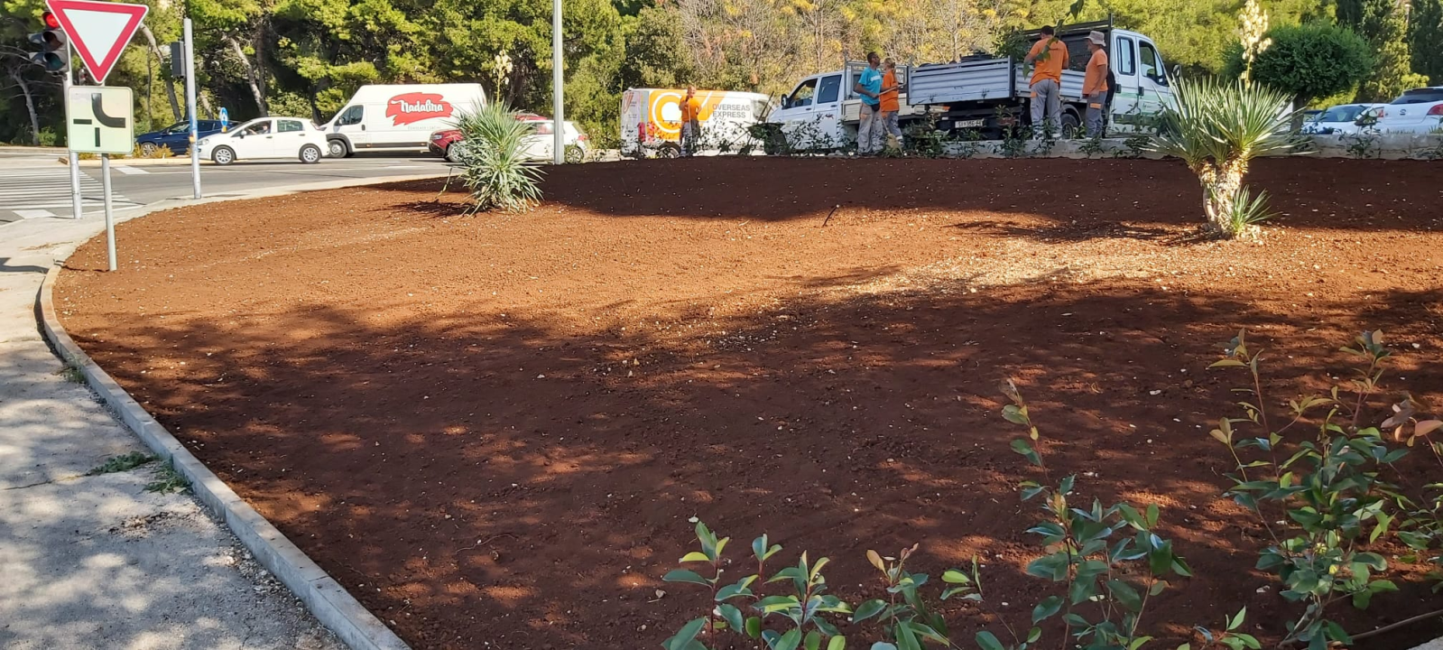 Zeleni grad Šibenik nastavlja s uljepšavanjem kvartova: Na Biocima posađene Yucca i Photinia 