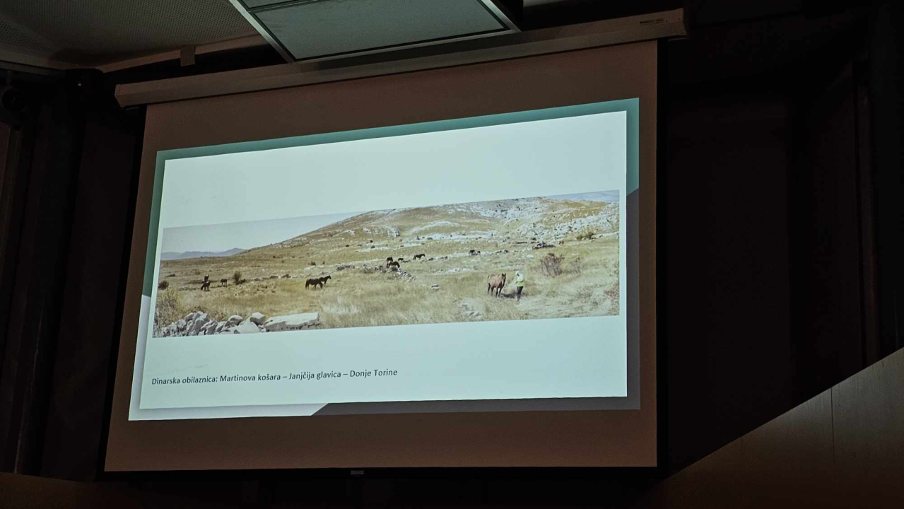 Striborovci predstavili svoju udrugu: 'Mi ne trčimo do vrhova, uživamo u trenucima'