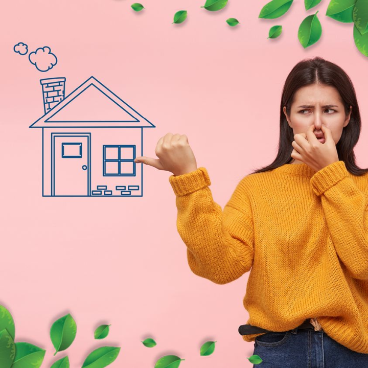 Pobrinite se za svoje zdravlje: Riješite se prekomjerne vlage i plijesni u svom domu! 