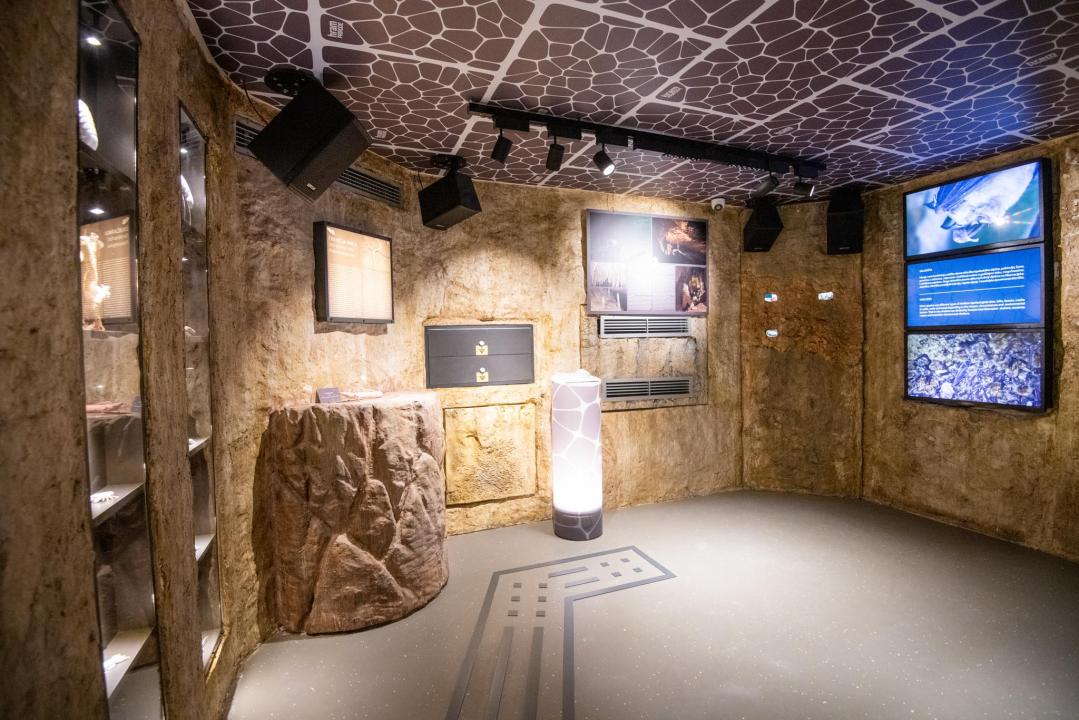 Otkrijte čaroliju Nacionalnog parka 'Krka' u prosincu!