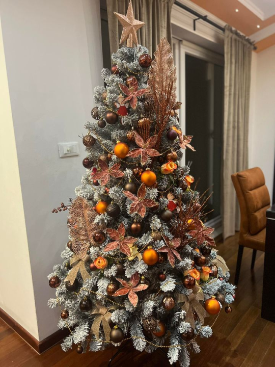 Provjerite tko su pobjednici izbora za naj jelku!