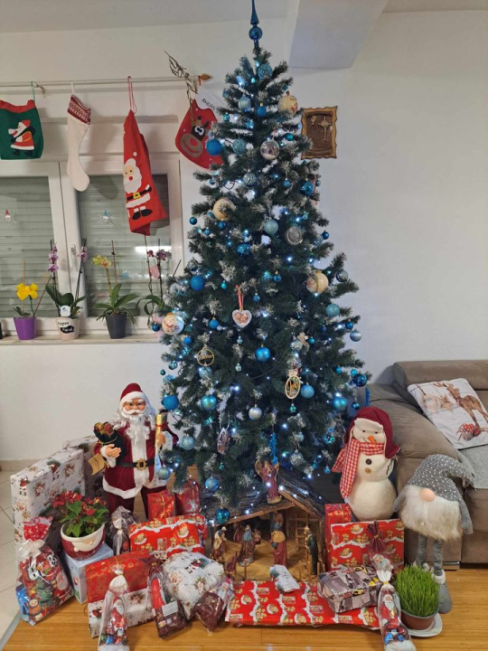 Provjerite tko su pobjednici izbora za naj jelku!