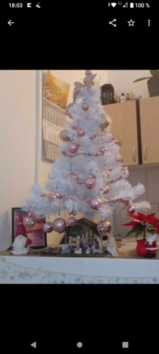 Provjerite tko su pobjednici izbora za naj jelku!