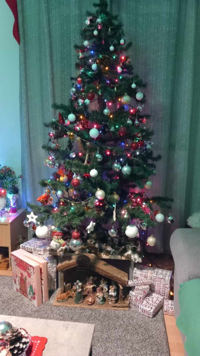 Provjerite tko su pobjednici izbora za naj jelku!