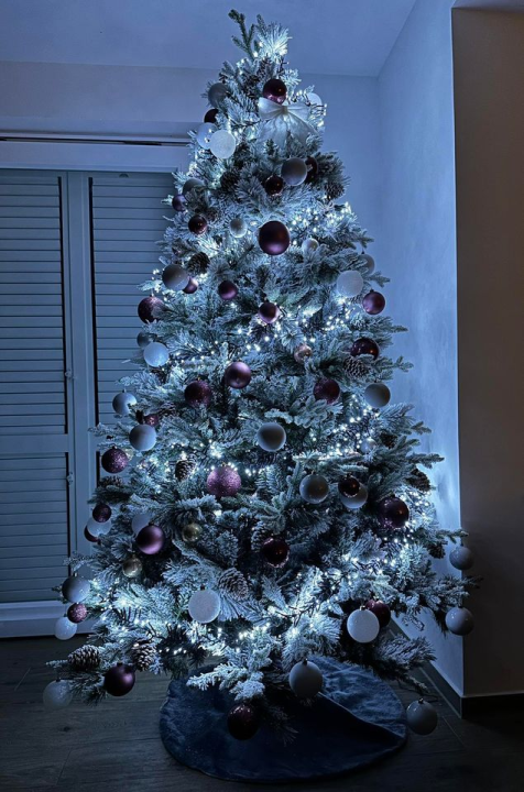 Provjerite tko su pobjednici izbora za naj jelku!