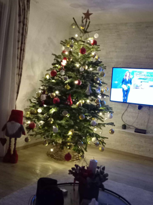 Provjerite tko su pobjednici izbora za naj jelku!