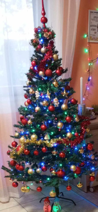 Provjerite tko su pobjednici izbora za naj jelku!