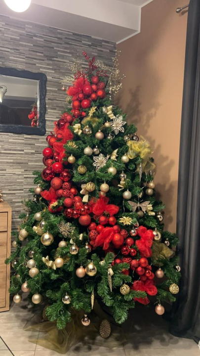 Provjerite tko su pobjednici izbora za naj jelku!