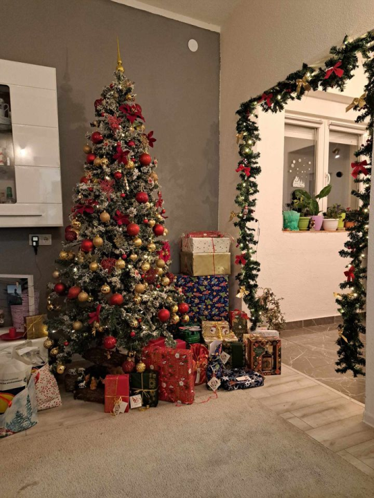 Provjerite tko su pobjednici izbora za naj jelku!