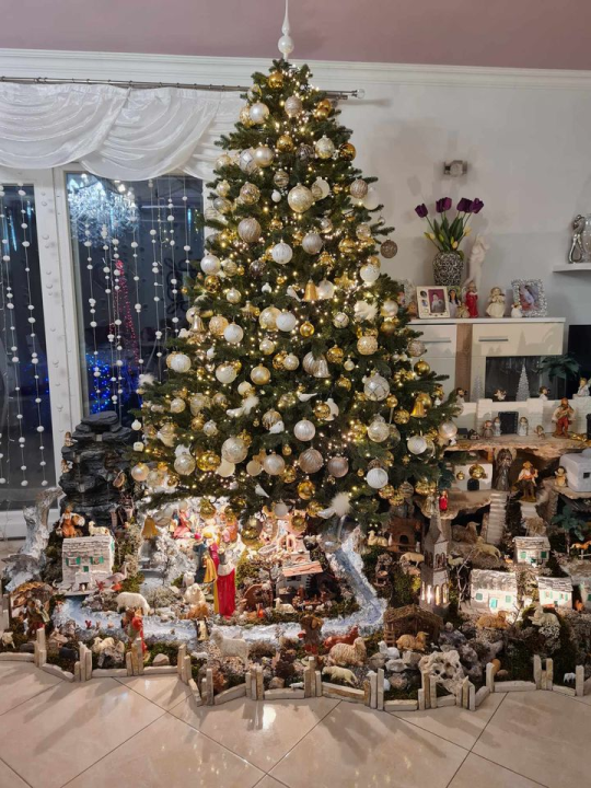 Provjerite tko su pobjednici izbora za naj jelku!