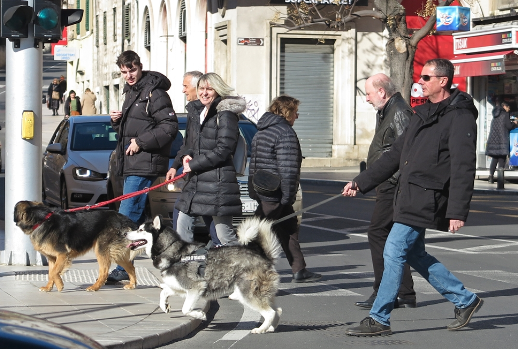 FOTO Đir po gradu, nedjelja 28. siječnja 