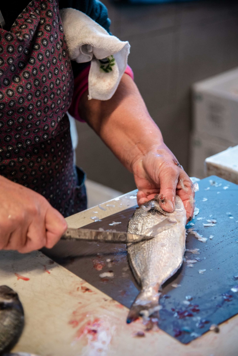 Šibenska peškarija danas nudi hamu, ribu na rubu istrebljenja u Jadranu