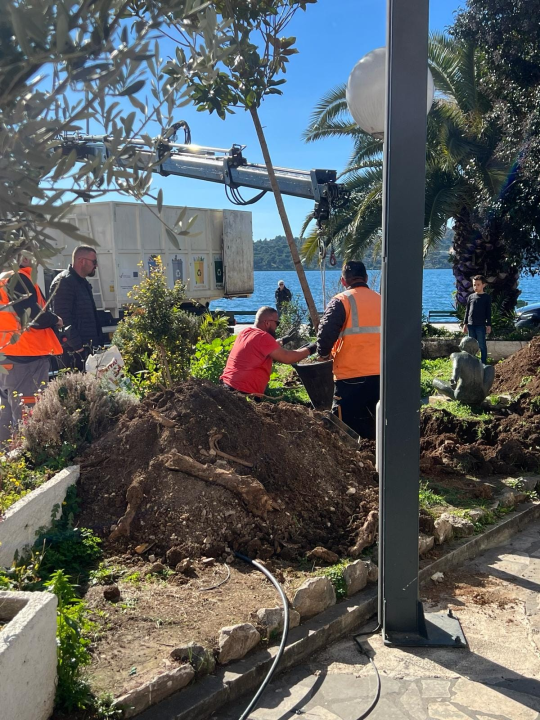 Nakon medijske kritike, Zeleni grad posadio novo stablo ispred hotela Jadran