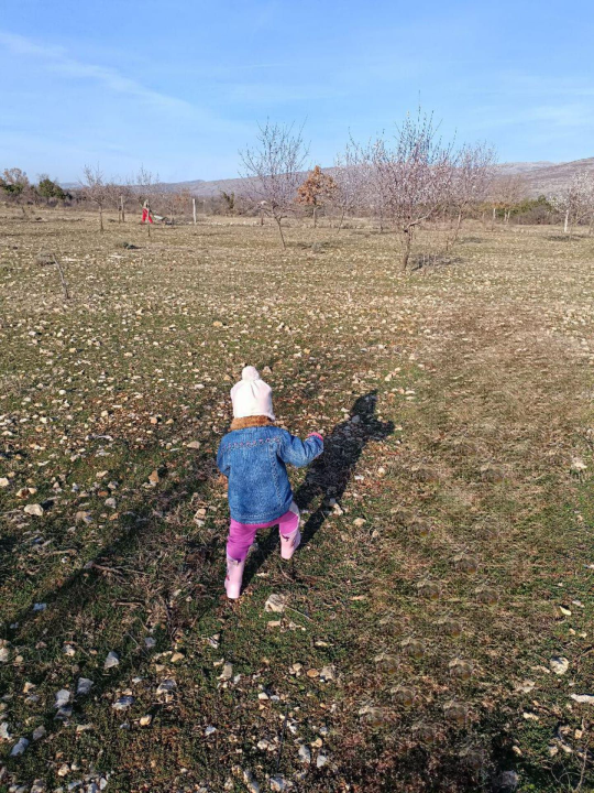 Martin i supruga odlučili su ostati na selu i baviti se poljoprivredom: 'Na OPG-u u Petrovom polju radi cijela obitelj'