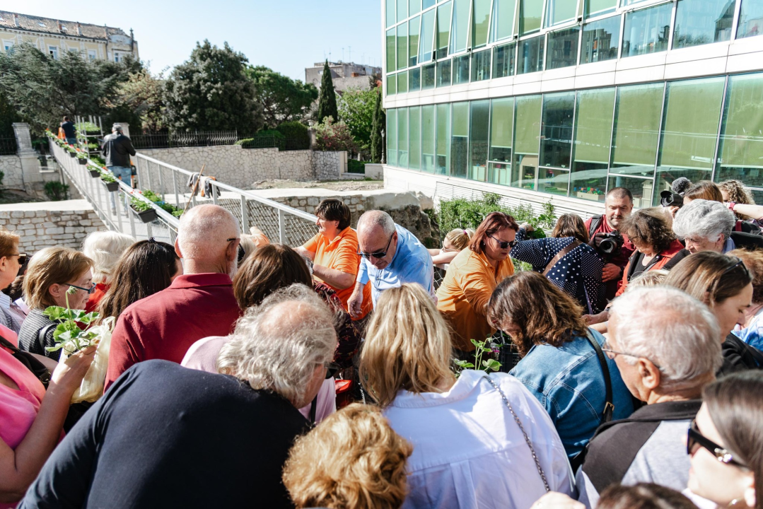 Gužva na Poljani: Šibenčani cvijeće najviše vole kad je besplatno