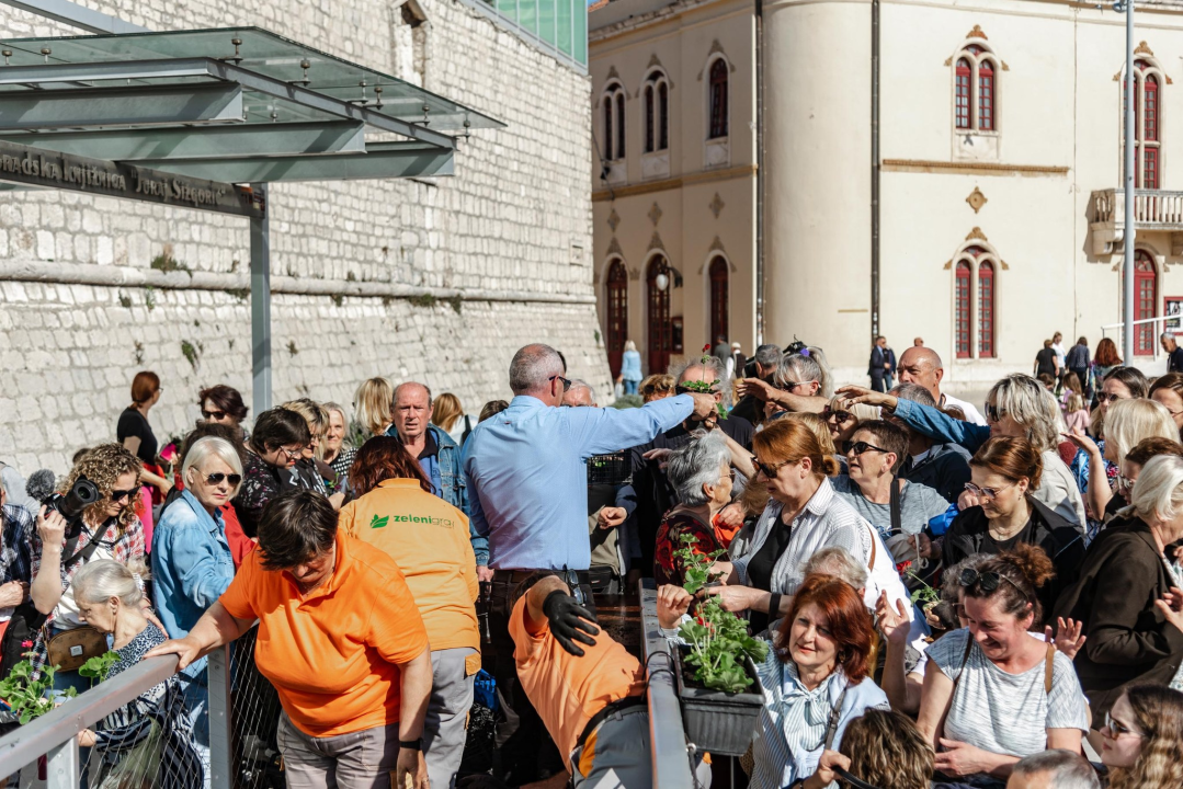 Gužva na Poljani: Šibenčani cvijeće najviše vole kad je besplatno