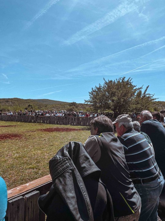 Bili smo na Bikijadi u Nevestu: ‘Željeli smo barem nakratko vratiti život u kraj koji umire’ 