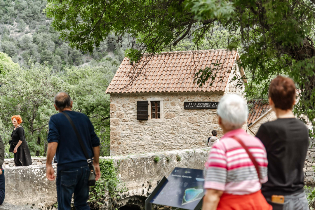 Podijeljeno tisuću sadnica lavande i lovora: 'Želimo očuvati naše ekosustave i poticati bioraznolikost' 