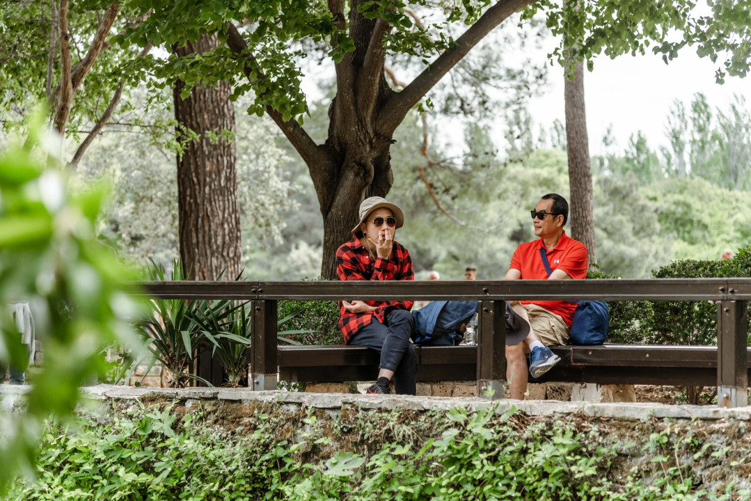 Podijeljeno tisuću sadnica lavande i lovora: 'Želimo očuvati naše ekosustave i poticati bioraznolikost' 