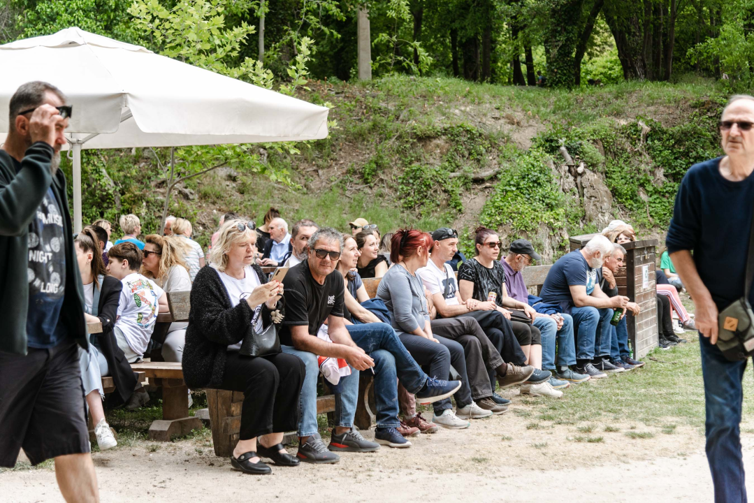 Podijeljeno tisuću sadnica lavande i lovora: 'Želimo očuvati naše ekosustave i poticati bioraznolikost' 