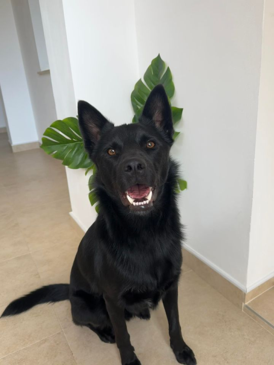 Provjerite tko su naj ljubimci 2024. godine!