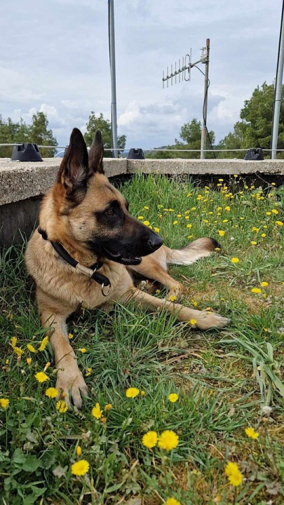 Provjerite tko su naj ljubimci 2024. godine!