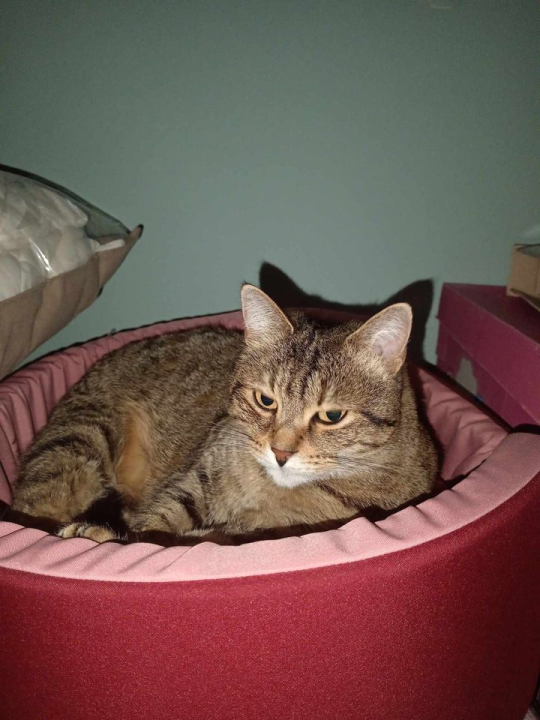 Provjerite tko su naj ljubimci 2024. godine!