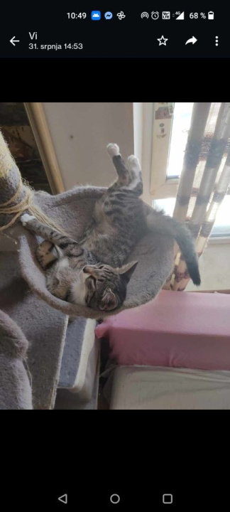 Provjerite tko su naj ljubimci 2024. godine!