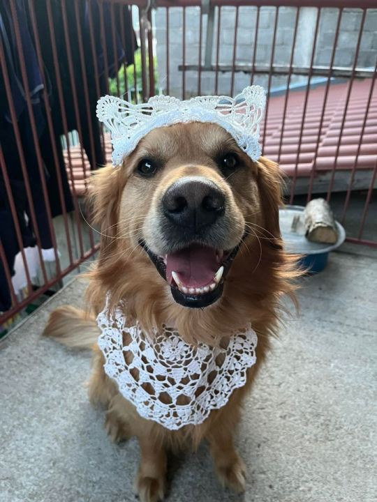 Provjerite tko su naj ljubimci 2024. godine!