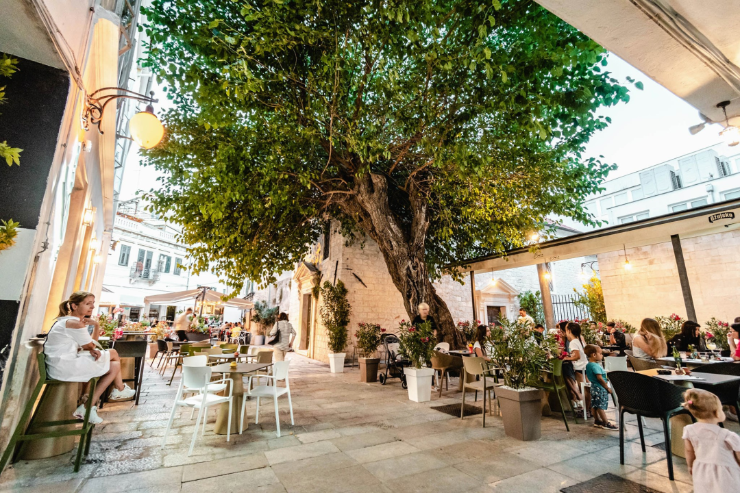 Provjerite tko su naj ljubimci 2024. godine!