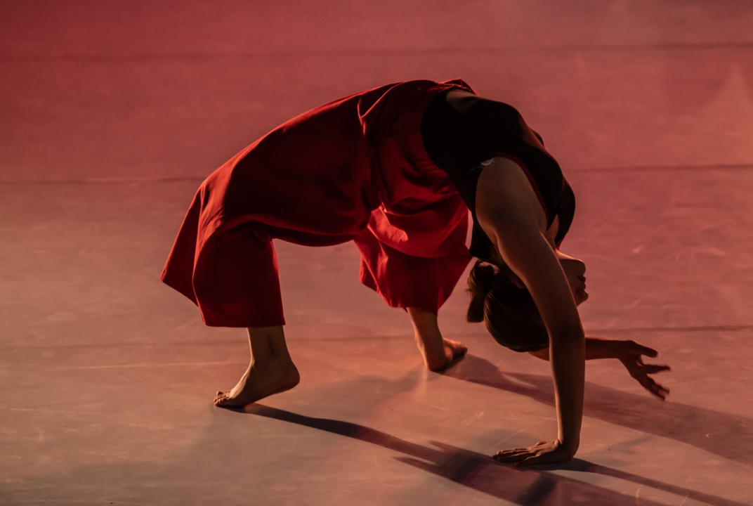 Anatomija zagrljaja i preispitivanje percepcije vlastitog tijela na tvrđavi Barone