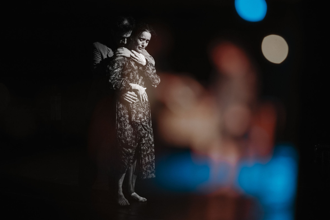 Izvedba ispunjena snažnim emocijama dotaknula je publiku i zaokružila 13. izdanje Šibenik Dance Festivala 