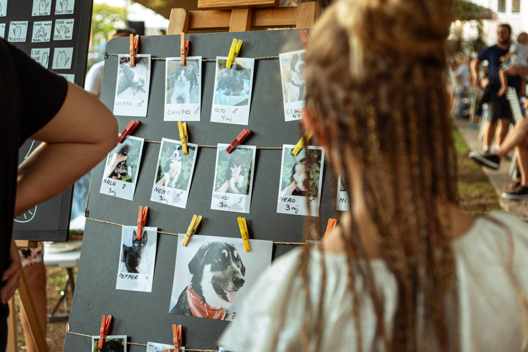 Šibenske šape rođendan proslavile izložbom pasa, tombolom i kvizom