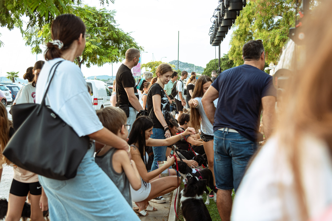 Šibenske šape rođendan proslavile izložbom pasa, tombolom i kvizom