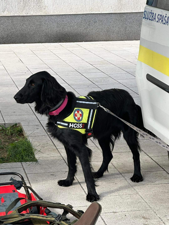 U punoj spremi održana smotra operativnih snaga civilne zaštite Grada Drniša