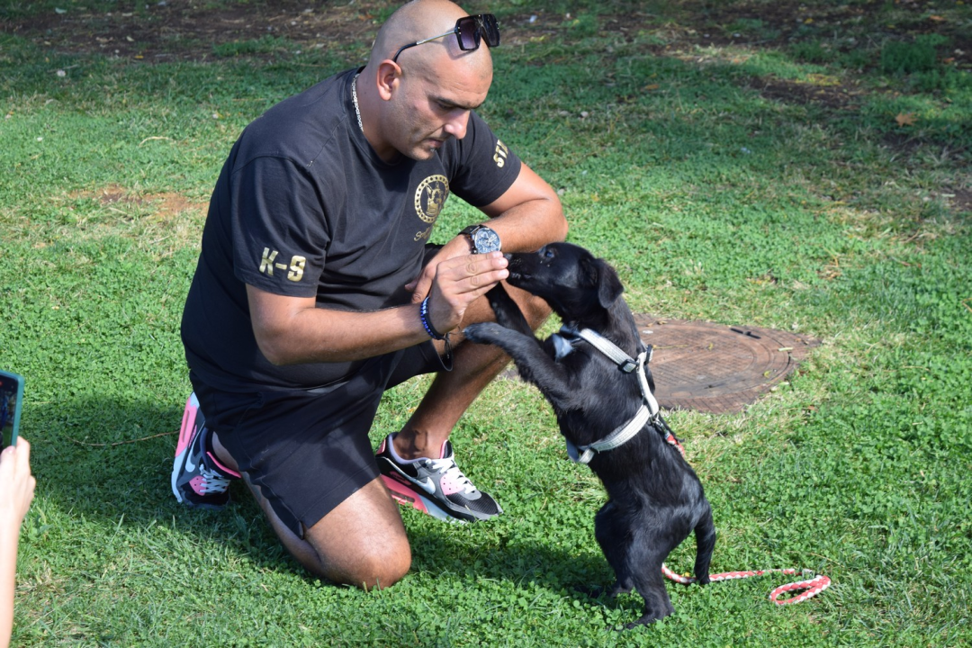 Ispred Azimuta obilježen Svjetski dan životinja