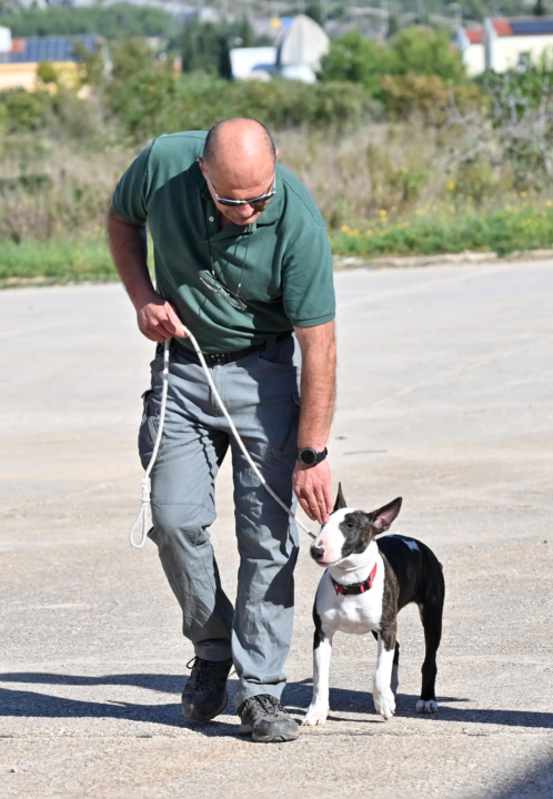 Marko Čogelja savjetuje kako dobro odgojiti psa