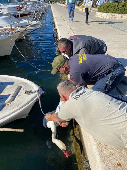 Slučajni susreti kolega vatrogasaca u Pirovcu doveli do neobične akcije spašavanja 