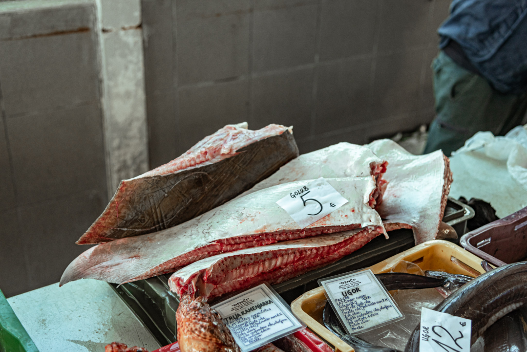 Prepuni banci na šibenskoj peškariji, kupaca ne fali, ali bira se jeftinije