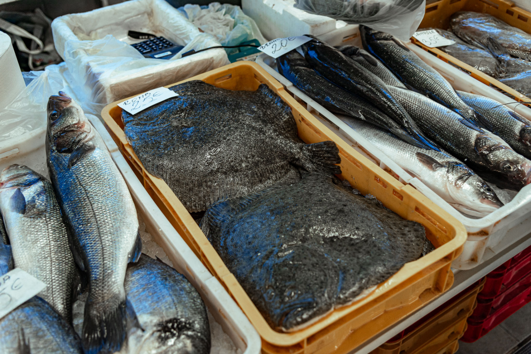 Prepuni banci na šibenskoj peškariji, kupaca ne fali, ali bira se jeftinije